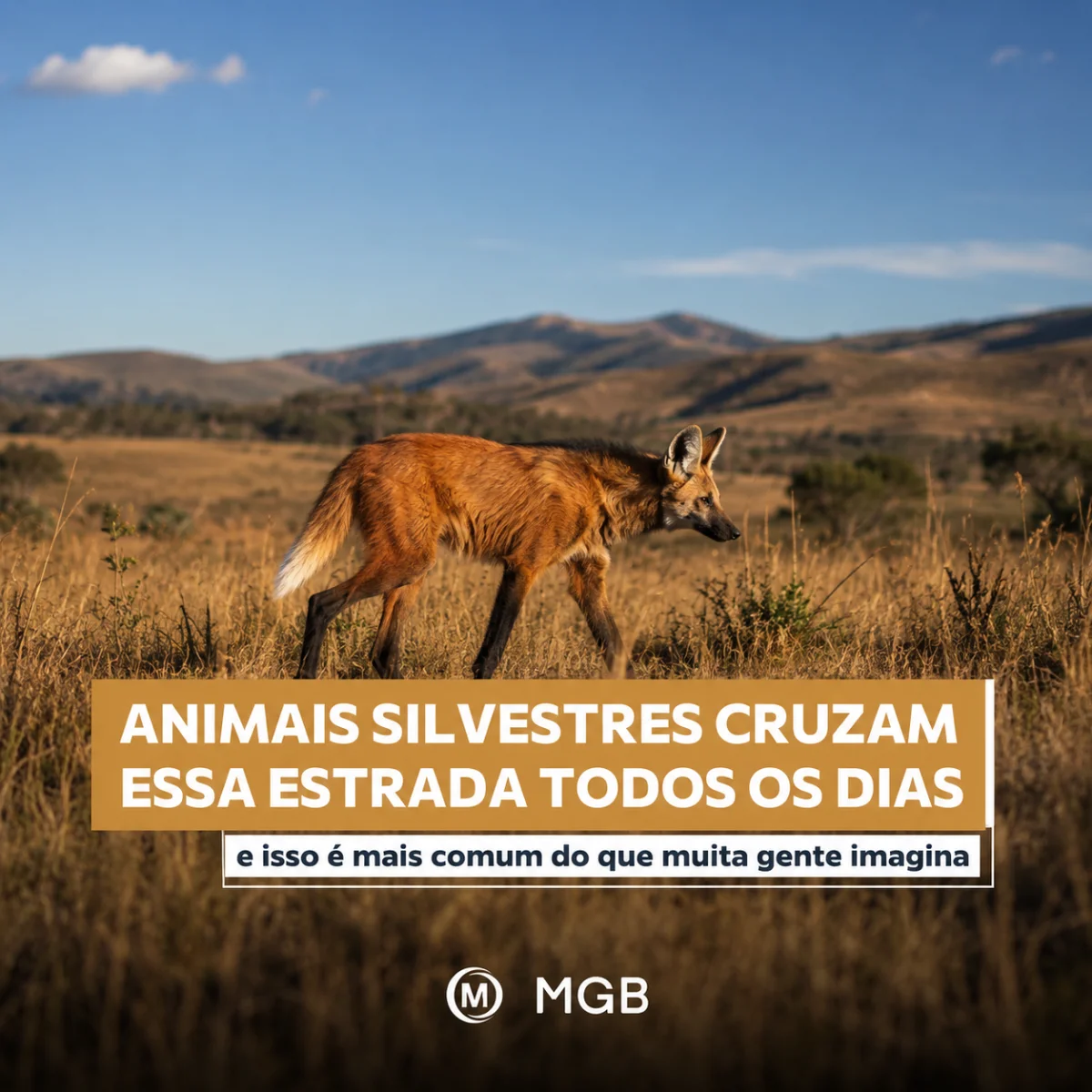 Salve o Rola-Moça e proteja o Ribeirão Catarina.