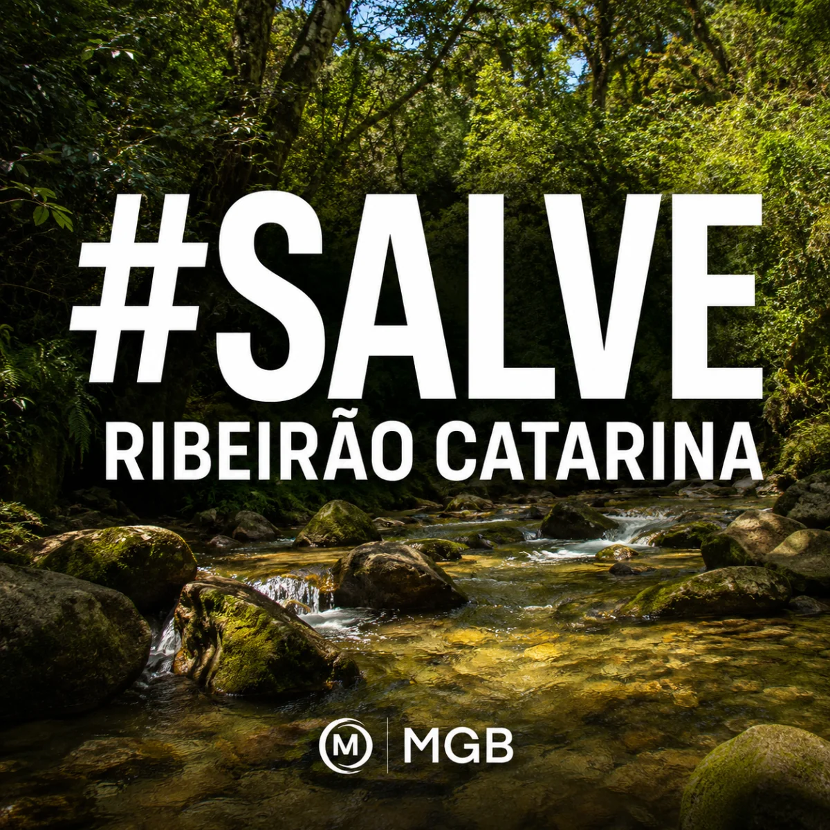 Salve o Ribeirão Catarina